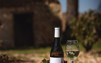 Vino Denominación de Origen Manchuela: Bodega y Viñedos Moratalla