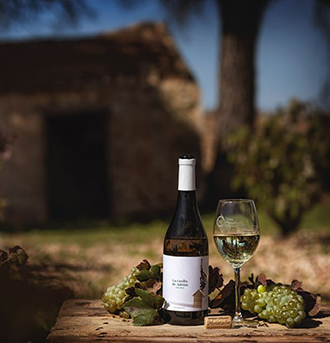 Vino Denominación de Origen Manchuela: Bodega y Viñedos Moratalla