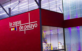 Vino Denominación de Origen Manchuela: La Cepa de Pelayo