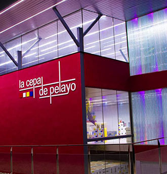 Vino Denominación de Origen Manchuela: La Cepa de Pelayo