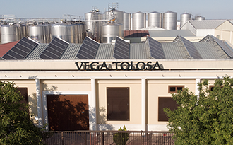 Vino Denominación de Origen Manchuela: Pagos de Familia Vega Tolosa