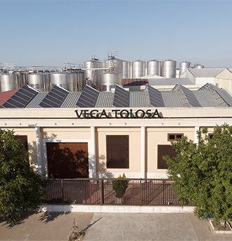 Vino Denominación de Origen Manchuela: Pagos de Familia Vega Tolosa