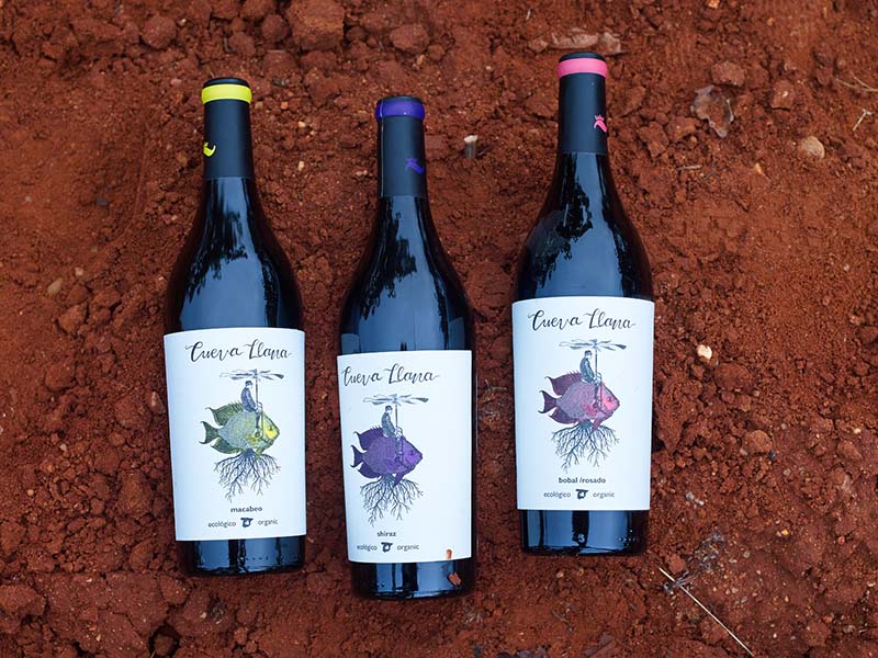 Cueva Llana, una propuesta de vino fresco y sorprendente Cueva Llana, una propuesta de vino fresco y sorprendente