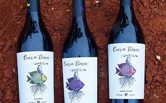 Vino Denominación de Origen Manchuela: Señorío del Júcar
