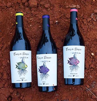 Vino Denominación de Origen Manchuela: Señorío del Júcar