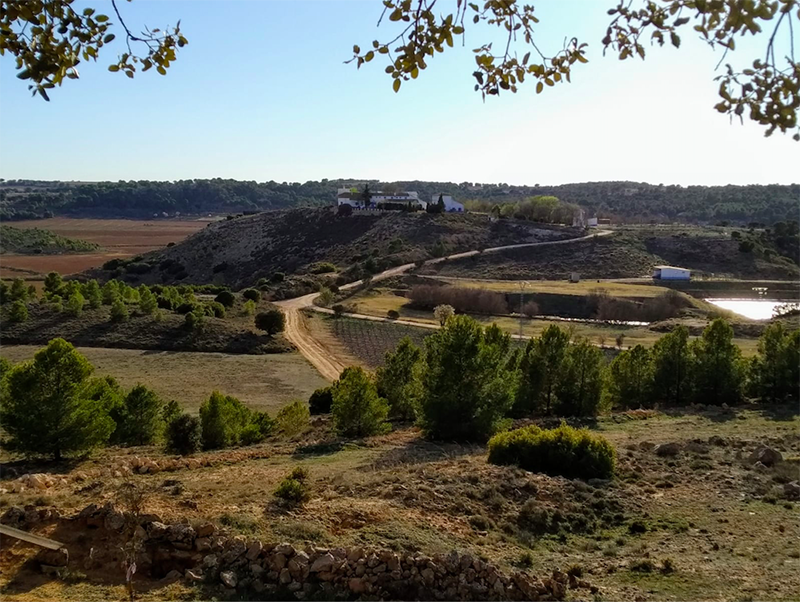 Finca El Molar cuenta con un entorno privilegiado Finca El Molar cuenta con un entorno privilegiado