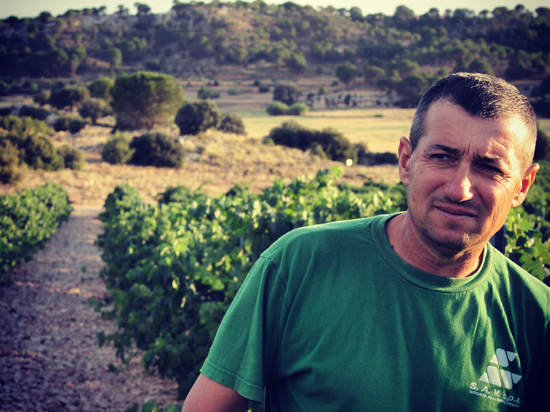 Mihai Ienei se encarga de mimar todas las viñas de la finca Mihai Ienei se encarga de mimar todas las viñas de la finca