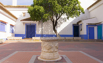 Vino Denominación de Origen Manchuela: Finca El Molar