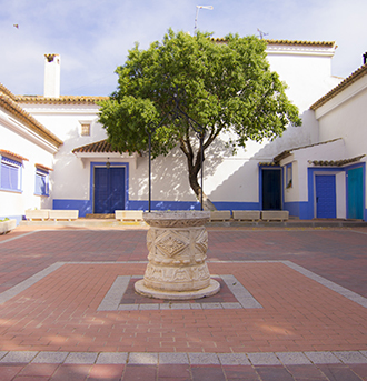 Vino Denominación de Origen Manchuela: Finca El Molar