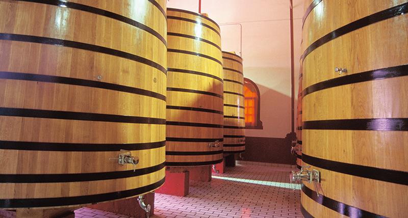 Vino Denominación de Origen Manchuela: Bodegas Vitivinos Vino Denominación de Origen Manchuela: Bodegas Vitivinos