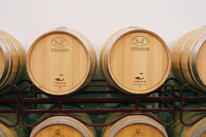 Vino Denominación de Origen Manchuela: Bodegas Vitivinos Vino Denominación de Origen Manchuela: Bodegas Vitivinos