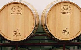 Vino Denominación de Origen Manchuela: Bodegas Vitivinos