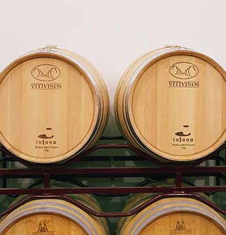 Vino Denominación de Origen Manchuela: Bodegas Vitivinos