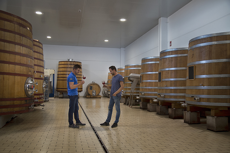 Los hermanos Ponce en las instalaciones de su bodega Los hermanos Ponce en las instalaciones de su bodega