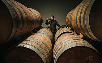 Vino Denominación de Origen Manchuela: Bodegas y Viñedos Ponce