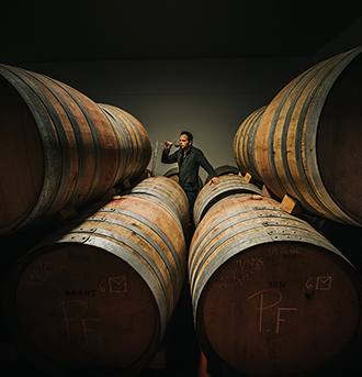 Vino Denominación de Origen Manchuela: Bodegas y Viñedos Ponce