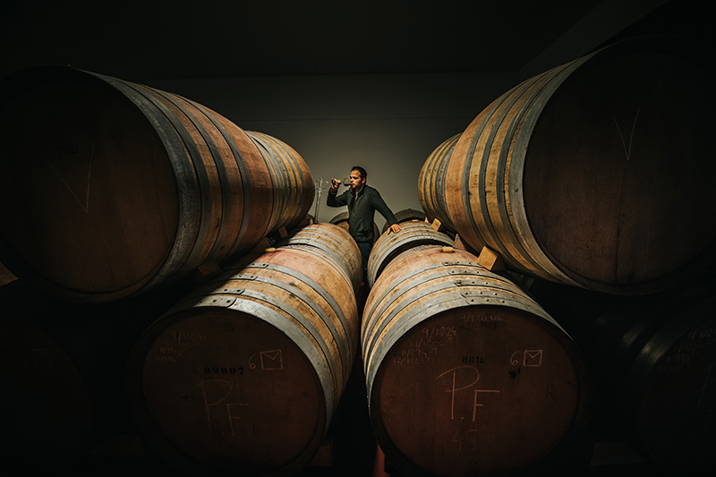Vino Denominación de Origen Manchuela: Bodegas y Viñedos Ponce