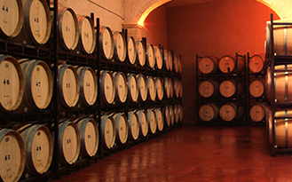 Vino Denominación de Origen Manchuela: Cooperativa Virgen de las Nieves