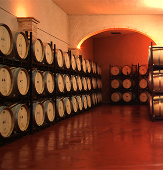 Vino Denominación de Origen Manchuela: Cooperativa Virgen de las Nieves