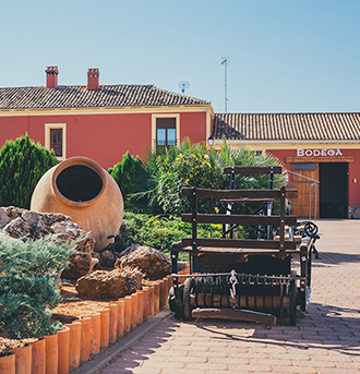 Vino Denominación de Origen Manchuela: Finca Carril Cruzado