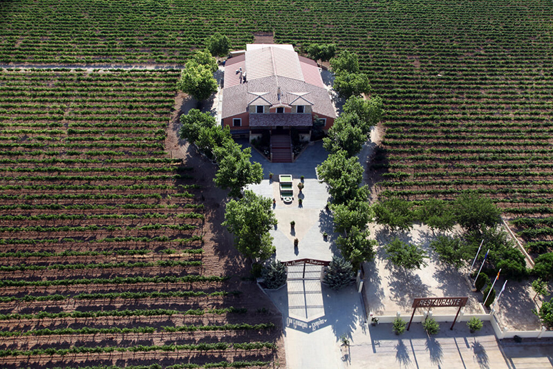 Vino Denominación de Origen Manchuela: Bodegas Florentino Pérez