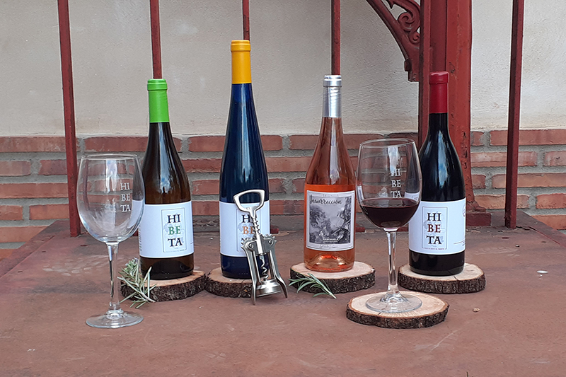 El vino elaborado en Bodegas González Cabezas El vino elaborado en Bodegas González Cabezas