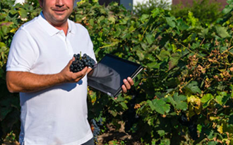 Vino Denominación de Origen Manchuela: Bodega Finca El Palacio