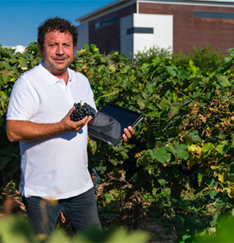 Vino Denominación de Origen Manchuela: Bodega Finca El Palacio