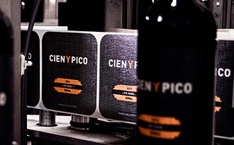 Vino Denominación de Origen Manchuela: Cien y Pico