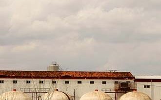 Vino Denominación de Origen Manchuela: San Isidro de Alborea