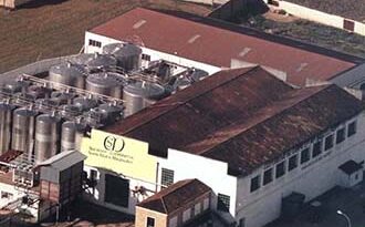Vino Denominación de Origen Manchuela: Bodegas Castijorge