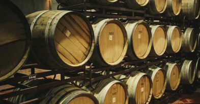 diferencia-crianza-reserva-joven-granreserva