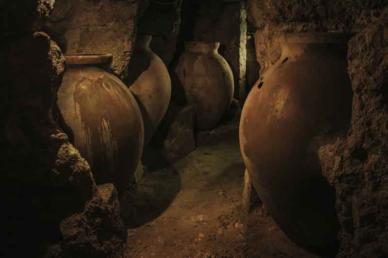 HISTORIA DEL VINO