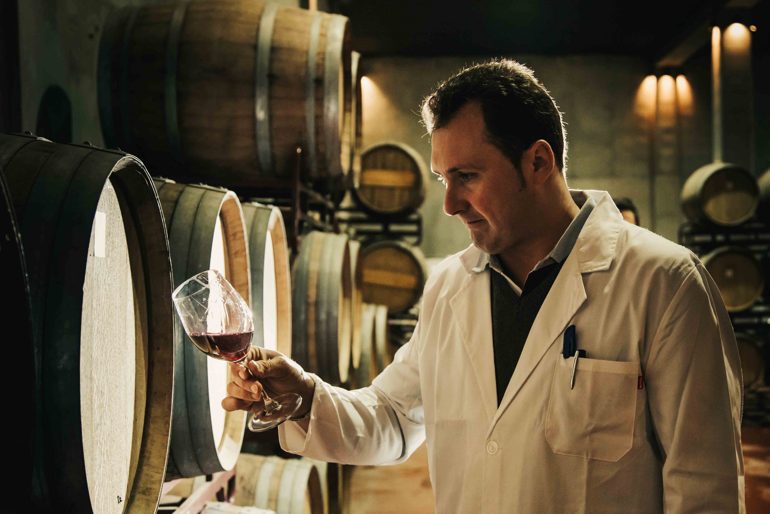 influencia-barrica-vino