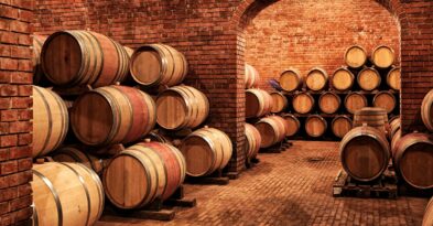 fermentacion-vino