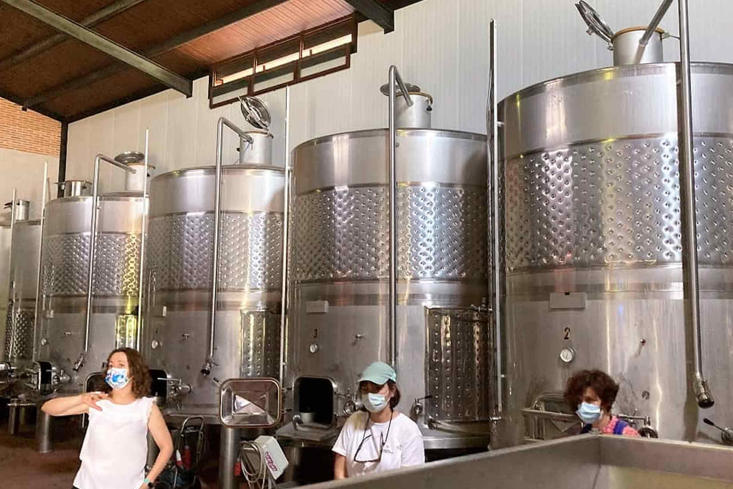 vinos-de-la-denominacion-de-origen-manchuela