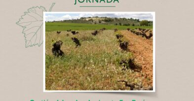 jornada-gestion-suelo-eco-regimenes-manchuelado