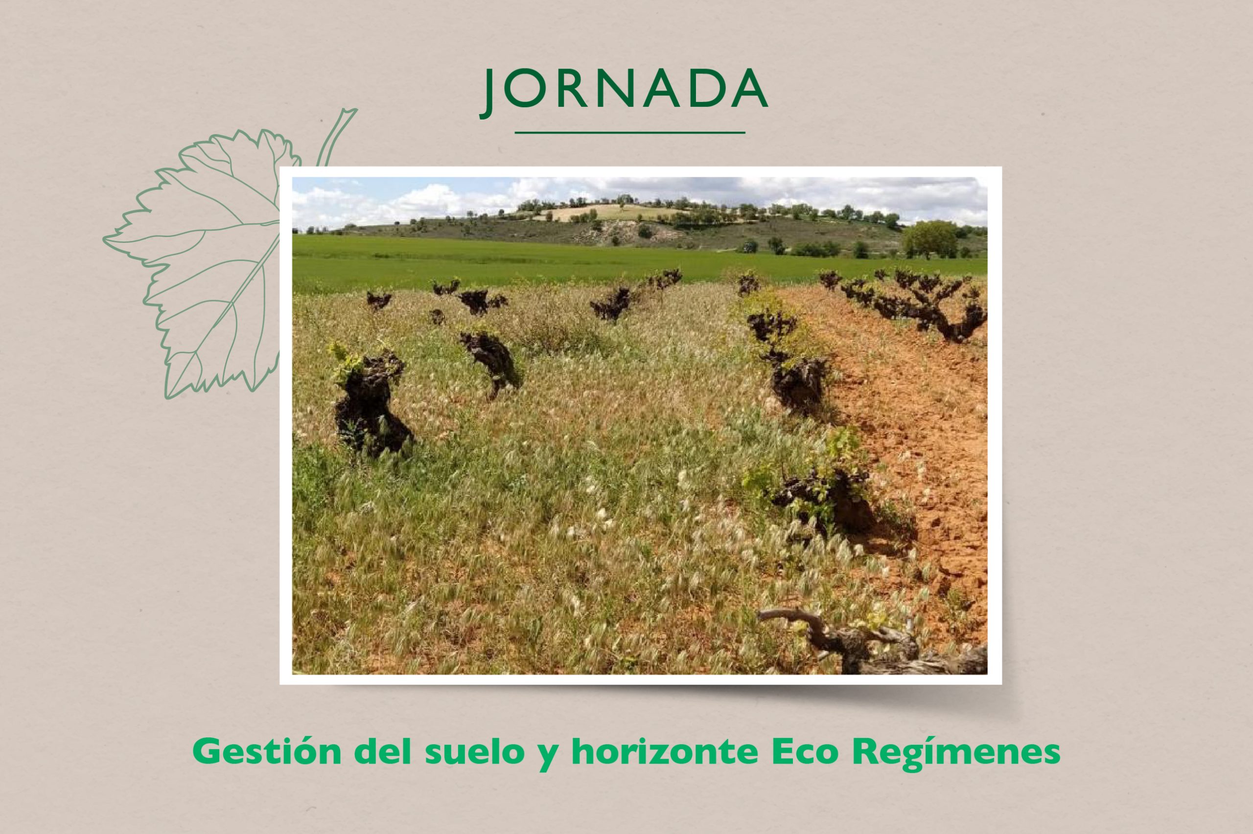 jornada-gestion-suelo-eco-regimenes-manchuelado