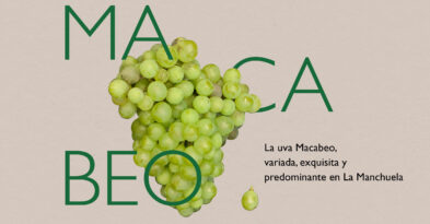 caractersticas uva macabeo denominacion de origen manchuela