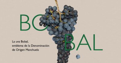 caracteristicas uva bobal denominacion origen manchuela
