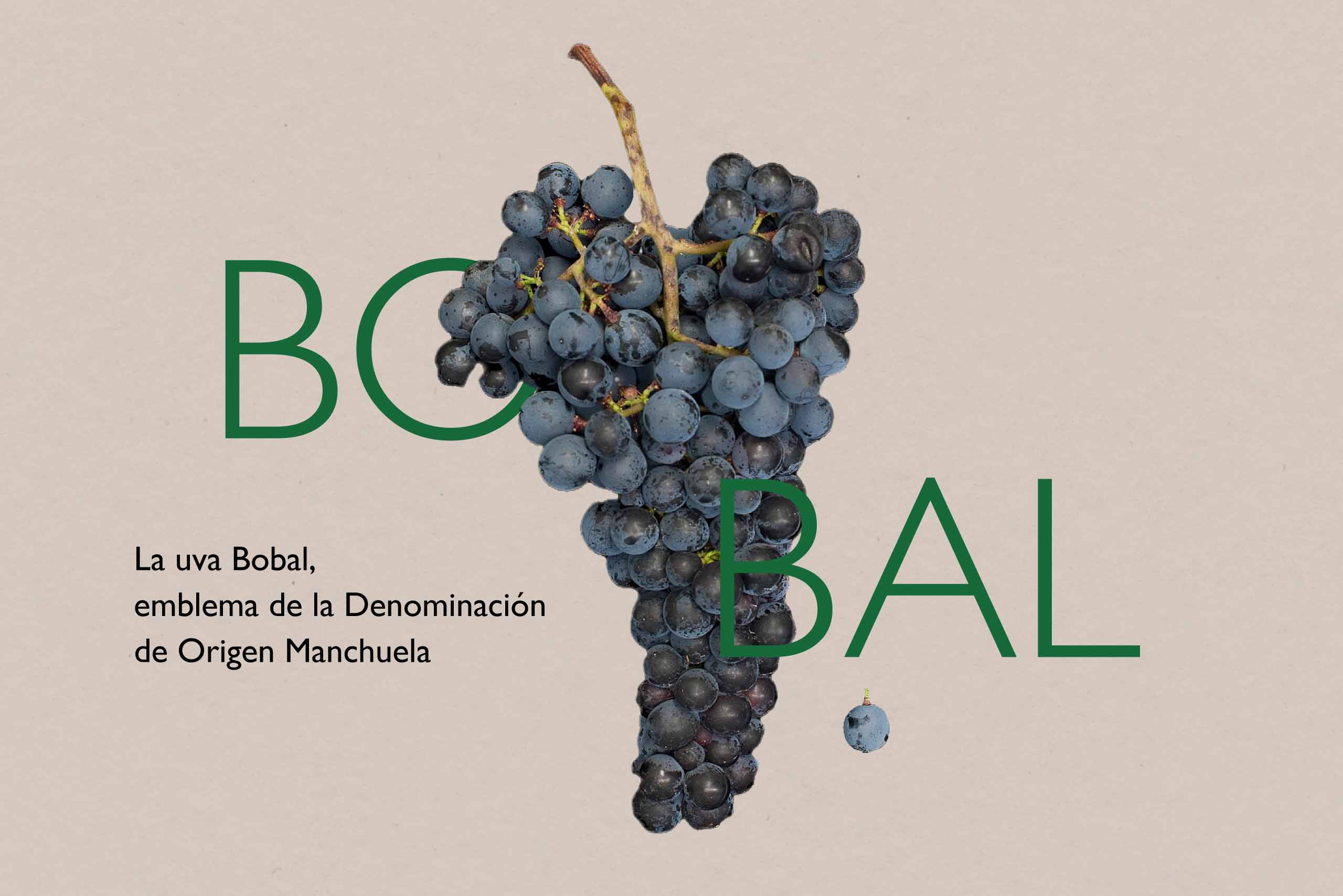 caracteristicas uva bobal denominacion origen manchuela