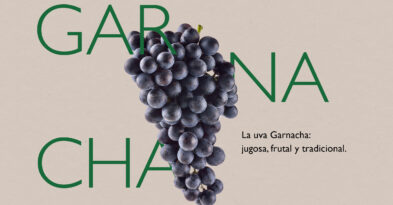 uva garnacha denominacion de origen manchuela