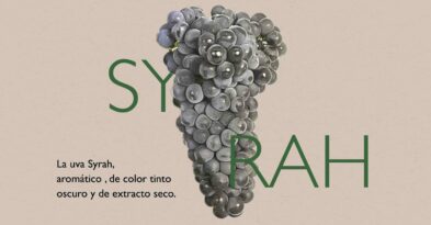 variedad-syrah-denominacion-origen-manchuela