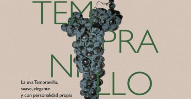 vino tempranillo denominacion de origen manchuela variedad uva