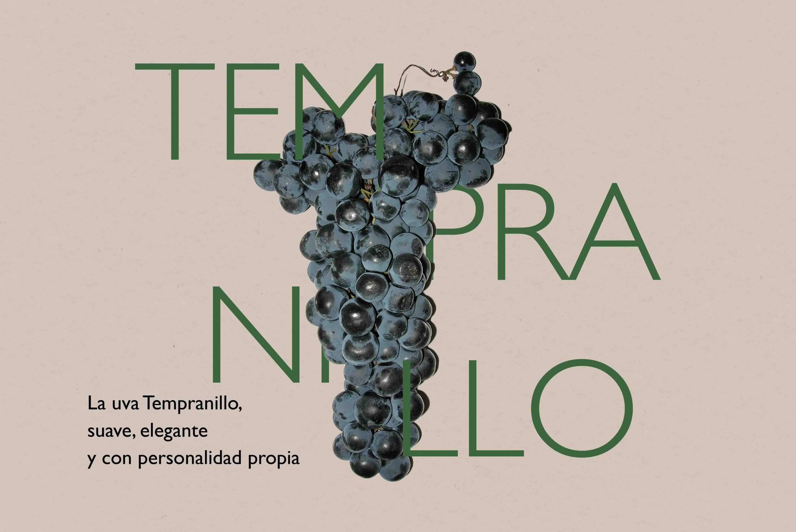 vino tempranillo denominacion de origen manchuela variedad uva