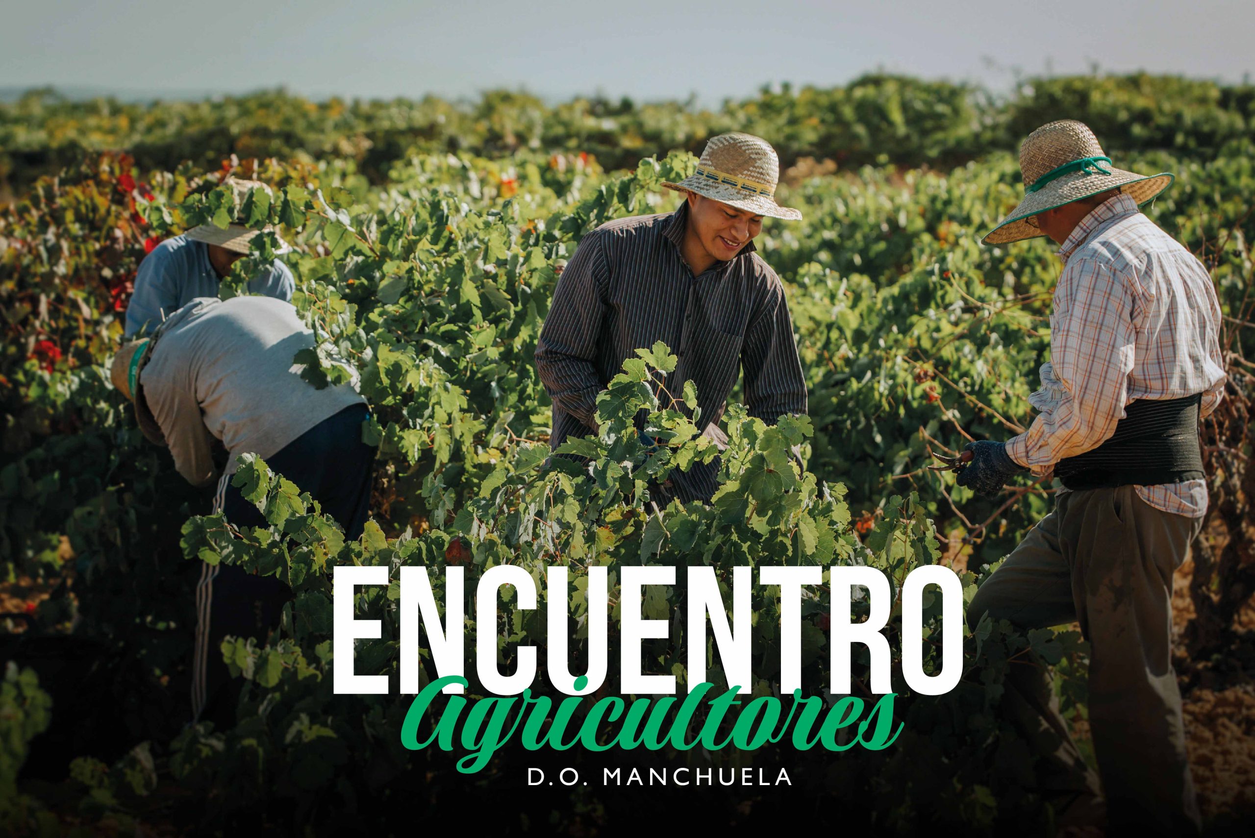 encuentro-agricultores-manchuelado
