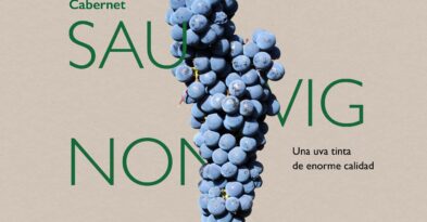 nuestras-uvas-cabernet-sauvignon