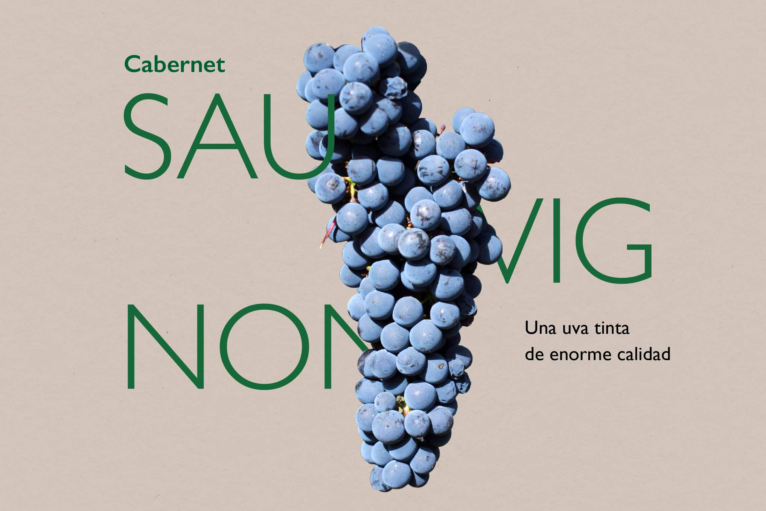nuestras-uvas-cabernet-sauvignon
