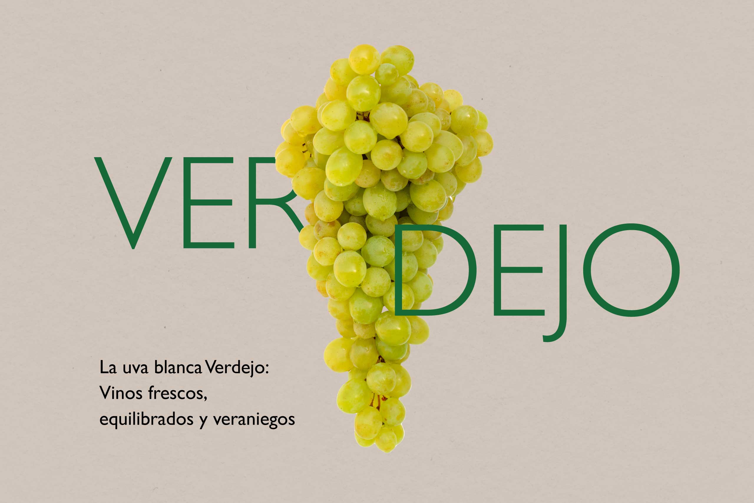 uva-blanca-verdejo-blog