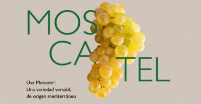 uva-moscatel-blog